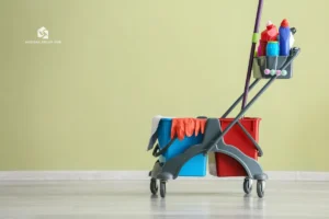 Cost for Home Cleaning