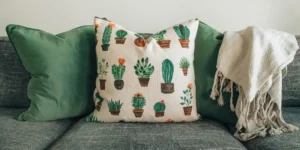How to Use the Little Green Machine on Couch