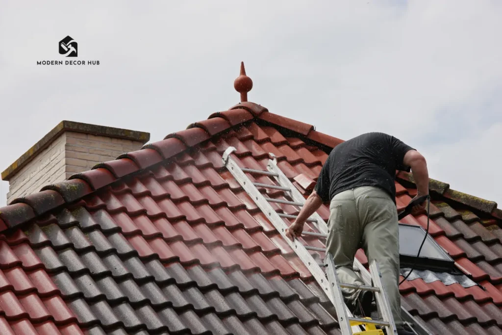 Roof Cleaning