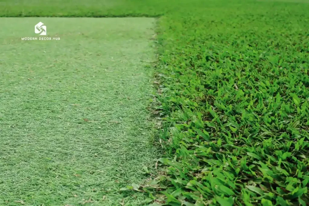 artificial-grass-next-to-real-grass