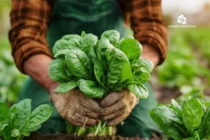 gardening-tips-for-beginners-and-urban-growers-2026